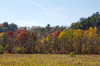 Fall colors in the distance alon the 400 State Trail